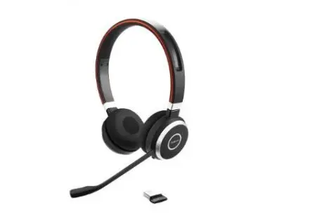 Produktfoto 1 von Jabra Evolve 65 Schwarz, Grau Am Ohr
