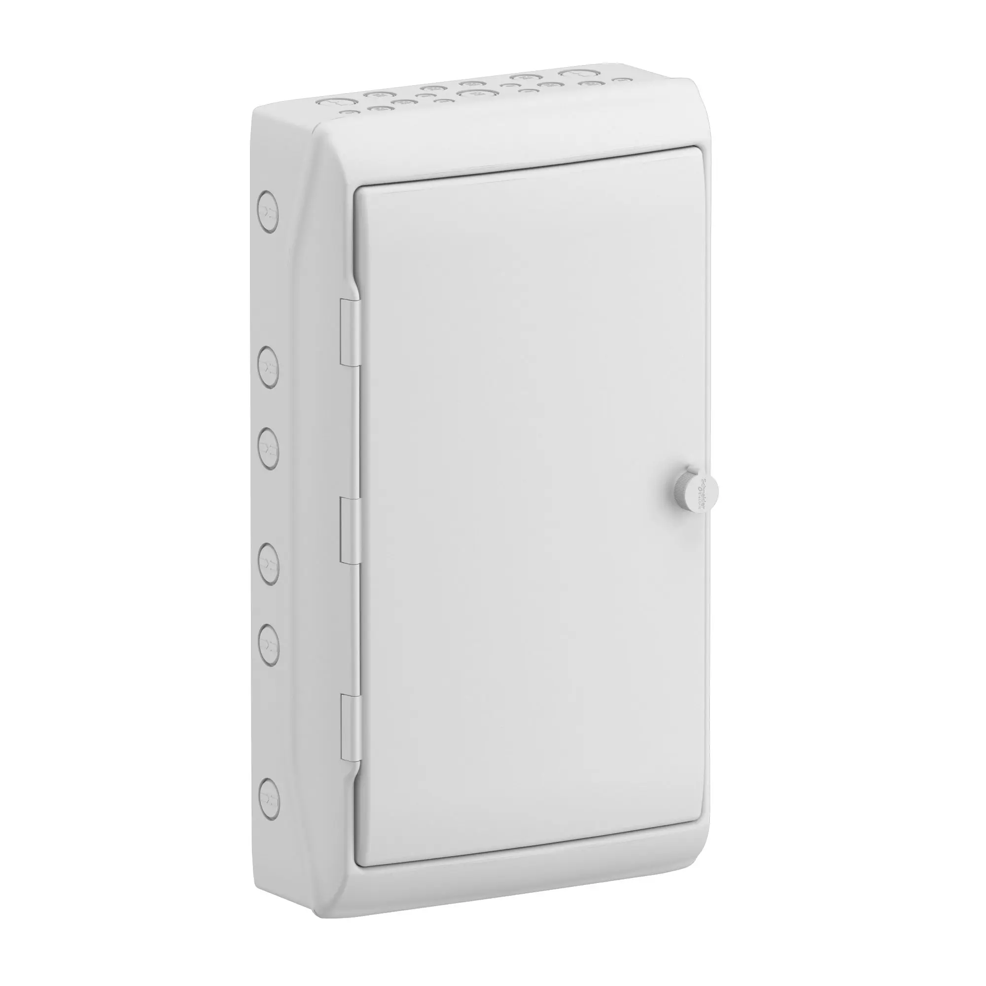 Produktfoto 1 von Schneider Electric Installationsdose 17 Ausgänge Weiß Polymer 340 mm x 610 mm 610 mm
