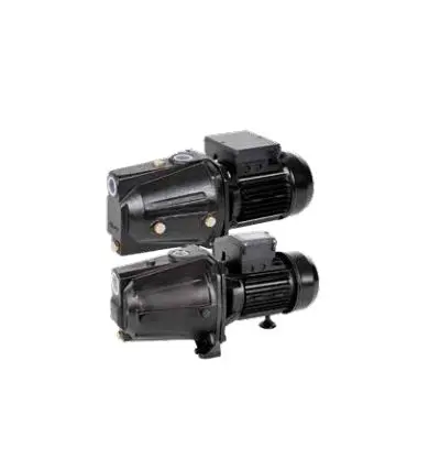 Produktfoto 1 von Xylem Lowara Wasserpumpe / 230 V 6 bar max. Gusseisen Edelstahl