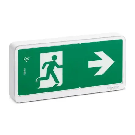 Schneider Electric LED Notleuchte Oberfläche, Wand, 229mm x 112 mm x 32 mm, IP42