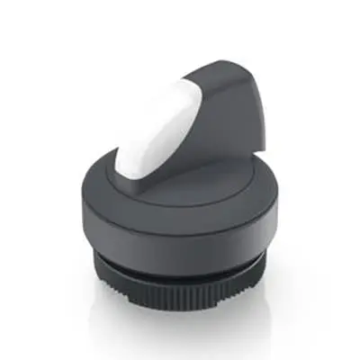 RAFI RAFIX 22 FS Wahlschalter 1-Stufen Wahlschalter 22.3 mm Beleuchtet IP65 Wurfwinkel 40 °