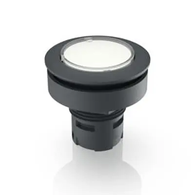 Produktfoto 1 von RAFI zur Verwendung mit Drucktaster, lichtdurchlässig LED Leuchten