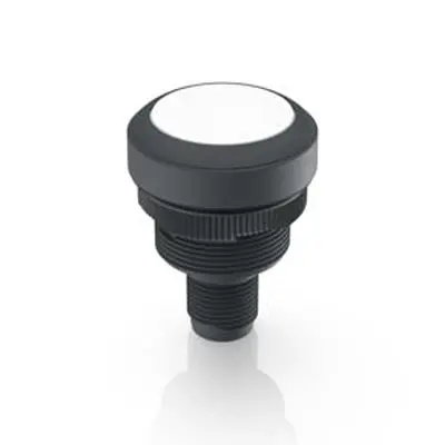 RAFI RAMO 22 T Beleuchtete Drucktaste Weiß Beleuchtet Tastend Durchsteckmontage Ø 22.3 mm, 1 Schließer / 100mA 35 V dc