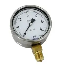 Produktfoto 1 von WIKA MNPT 213.53.100 Manometer 100 mm 0 bar → 6 bar Edelstahl Gehäuse G 1/2