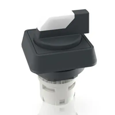 Produktfoto 1 von RAFI RAFIX 16 Wahlschalter 2-Stufen Wahlschalter 16.2 mm Beleuchtet IP65