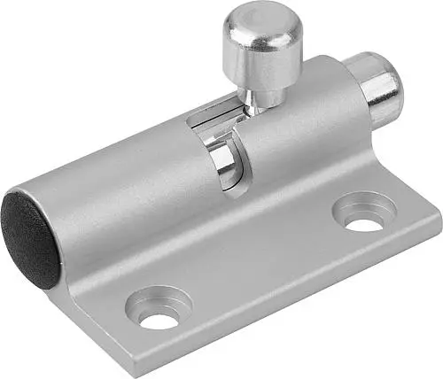 Produktfoto 1 von RIEGEL MIT RÜCKSTELLFEDER FORM:B RECHTS L=60, B=36,5, ALUMINIUM FARBLOS FARBLOS