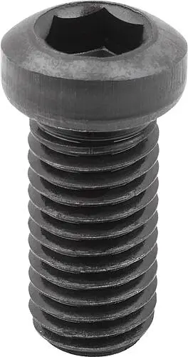 Produktfoto 1 von EXZENTERSCHRAUBE M12X25, FORM:B, VERGÜTUNGSSTAHL