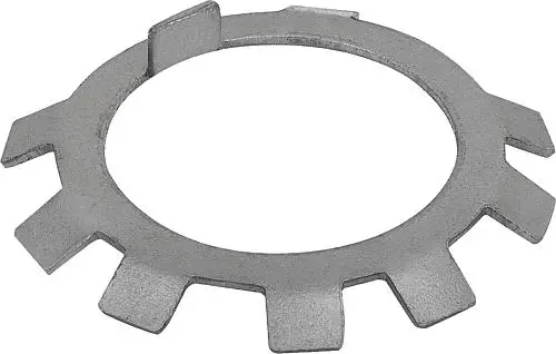 SICHERUNGSBLECH DIN70952 D=12, D1=24, S=1, STAHL BLANK