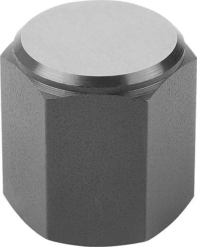 Produktfoto 1 von POSITIONSFUß, G=M16, FORM:D, AUTOM.STAHL BRÜN. U. EINSATZGEHÄRTET, SW=30