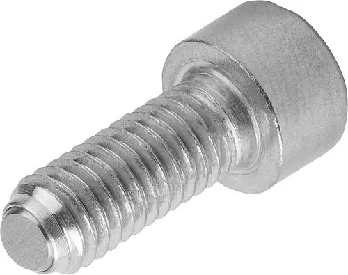 Produktfoto 1 von KUGELDRUCKSCHRAUBE MIT KOPF, FORM:B KUGEL ABGEFLACHT, M10, L=40, EDELSTAHL BLANK, KOMP:EDELSTAHL