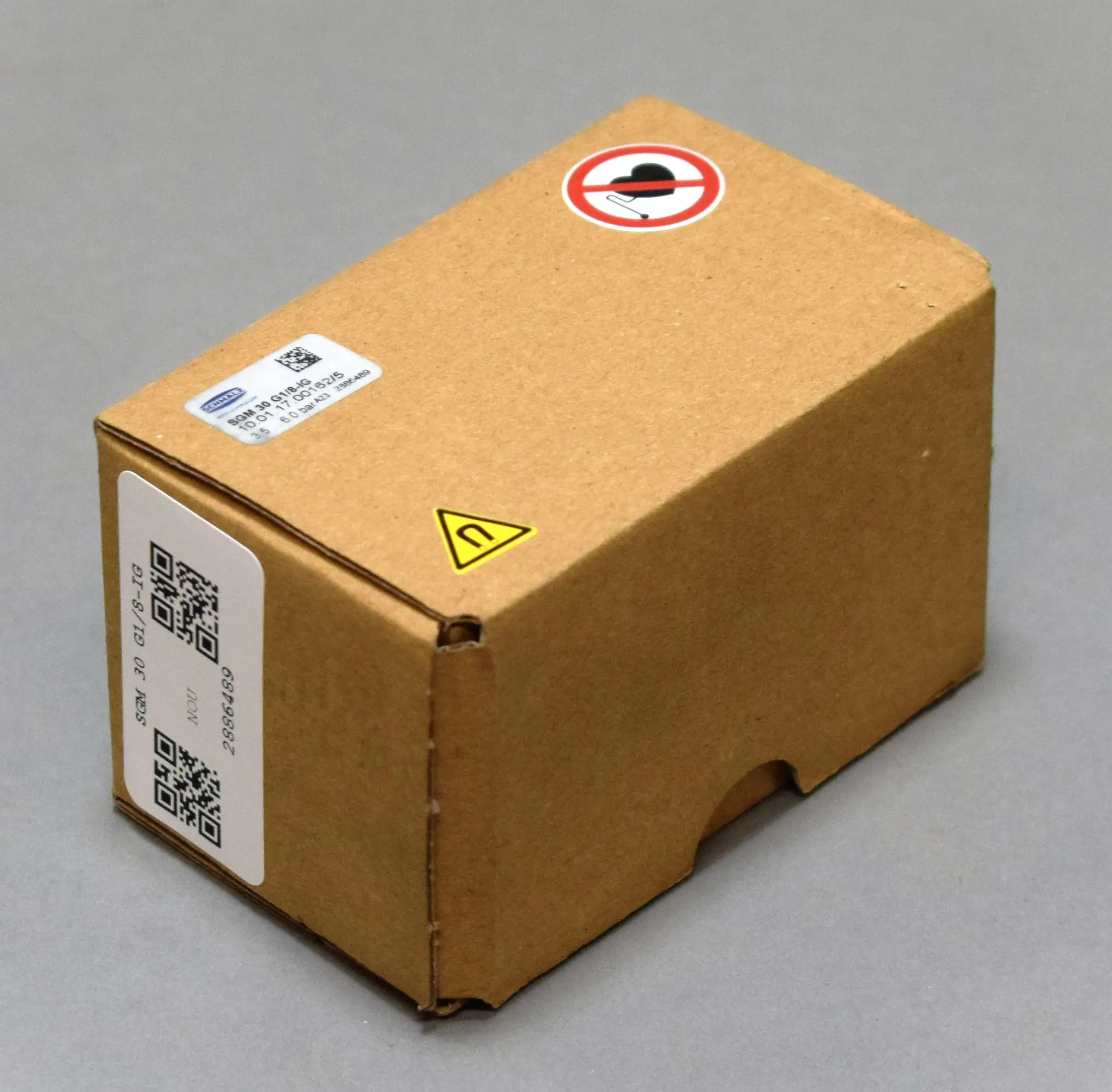 Produktfoto 1 von SGM 30 G18-IG