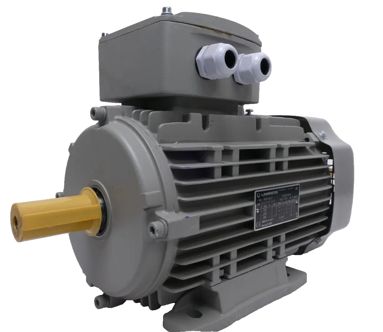 Produktfoto 1 von Lammers Drehstrommotor 3,45kW 3474rpm Welle 28mm | 15AA 100L2-2