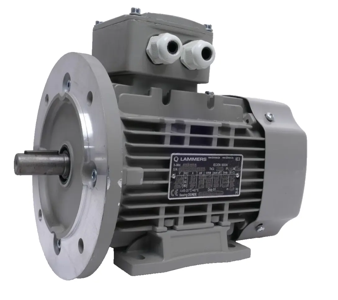 Produktfoto 1 von Lammers 15AA 801-2 Drehstrommotor | 0,75-0,86 kW 2880-3468rpm | Welle 19mm