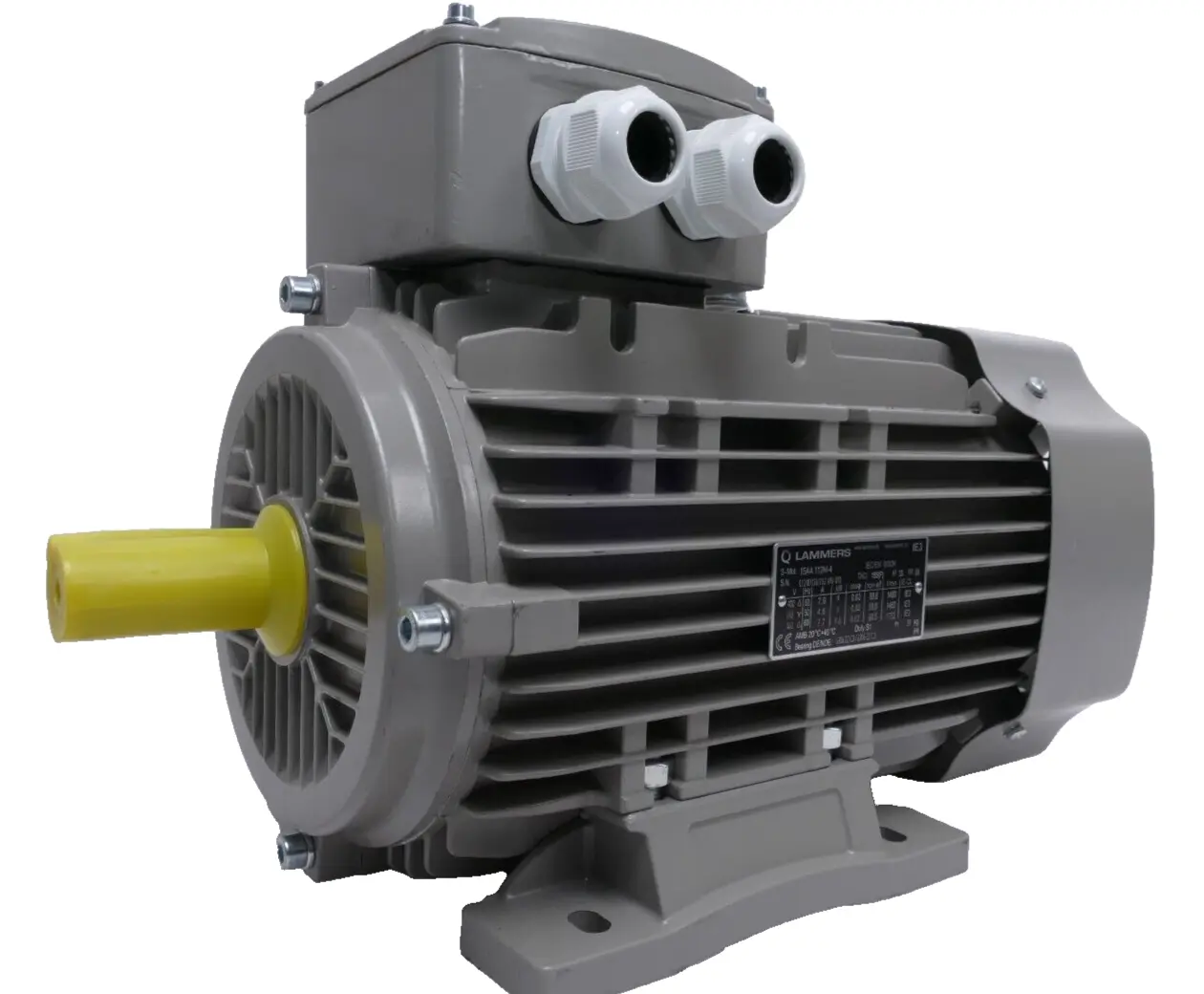 Produktfoto 1 von Lammers Drehstrommotor 4,6 kW 1752rpm Welle 28mm | 15AA 112M-4