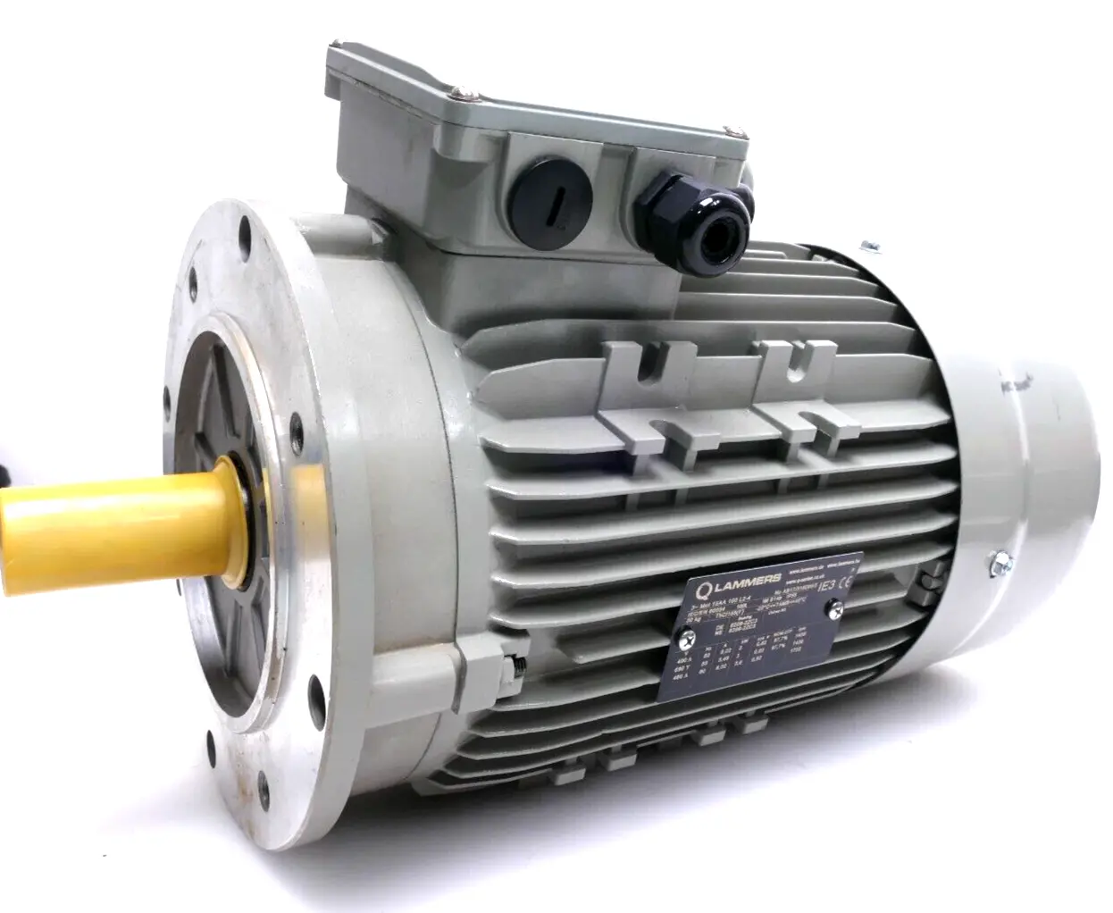 Produktfoto 1 von Lammers Drehstrommotor 3,6 kW 1722 rpm Welle 28mm | 15AA 100 L2-4
