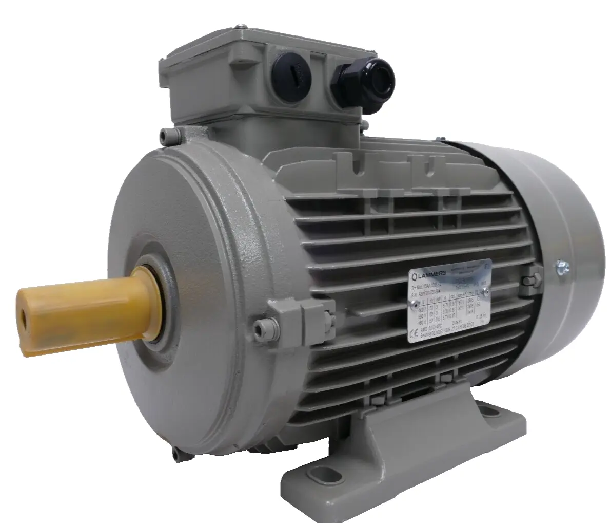 Produktfoto 1 von Lammers Drehstrommotor 6kW 3474rpm Welle 28mm | 15AA100L-2