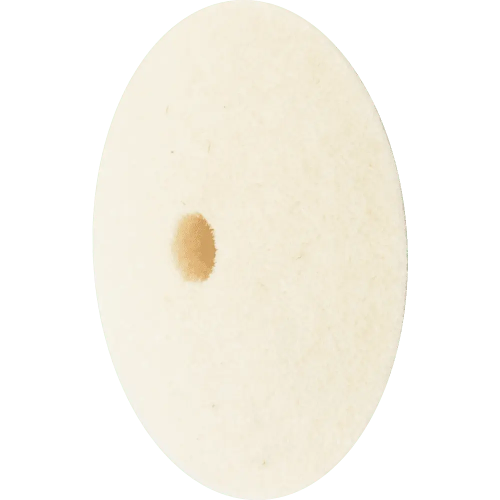 Produktfoto 1 von PFERD TOOLS harte Filzscheibe in Linsenform Ø 17x5 mm Bohrung Ø 2 mm für universelle Polierarbeiten, 10 Stk.