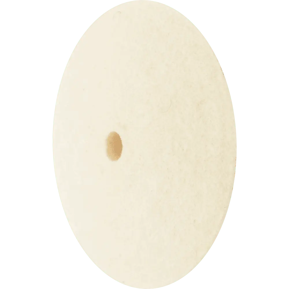 Produktfoto 1 von PFERD TOOLS harte Filzscheibe in Linsenform Ø 22x5 mm Bohrung Ø 2 mm für universelle Polierarbeiten, 10 Stk.
