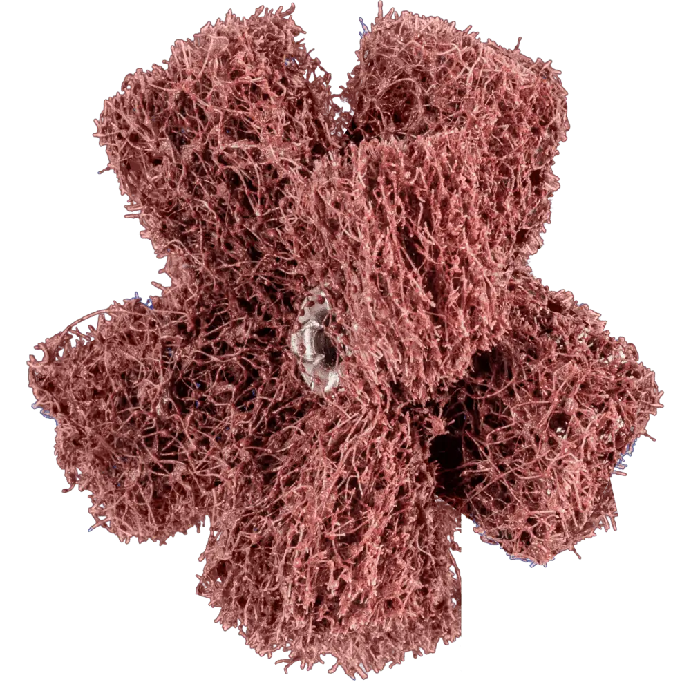 Produktfoto 1 von PFERD TOOLS POLINOX Vlies-Schleifstern PNST Ø 50mm Gewinde 8-32 UNC A80 für Feinschliff und Finish, 20 Stk.