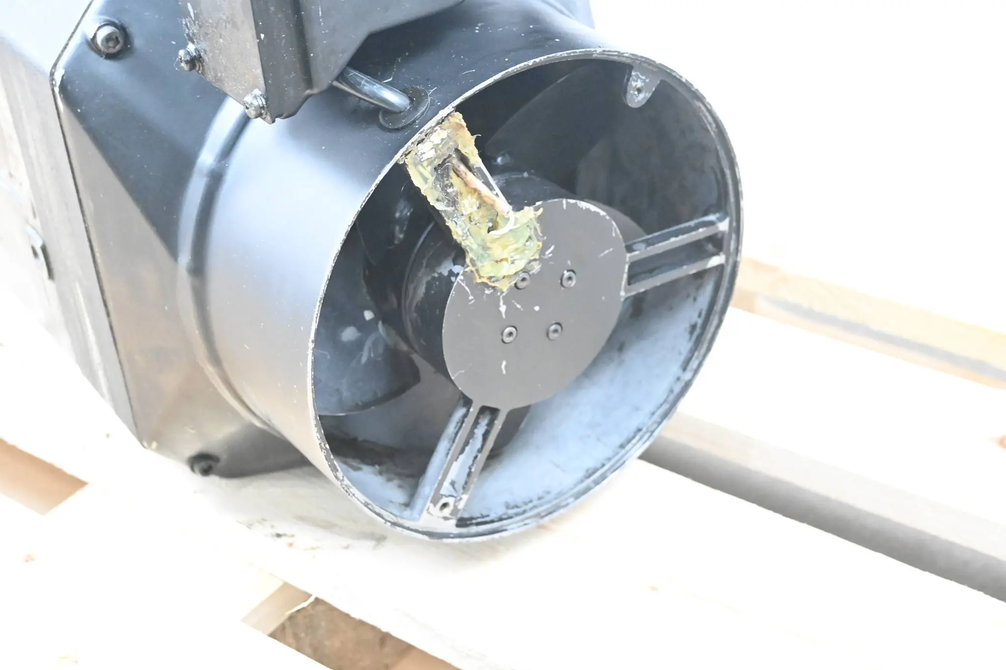Fanuc Motor ohne Typenbezeichnung ( wahrscheinlich A06B-1015 )