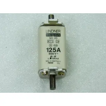 Produktfoto 1 von Lindner Vollschutz 125 A NH 00 500 V gl