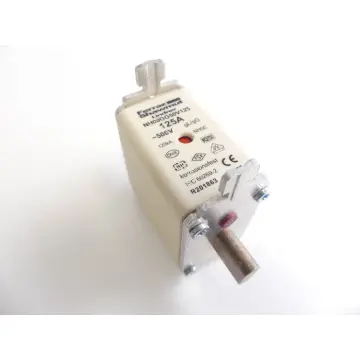 Produktfoto 1 von Lindner NH00 GG 125A 500V~ 1B765 Ferraz Shawmut Sicherungseinsatz