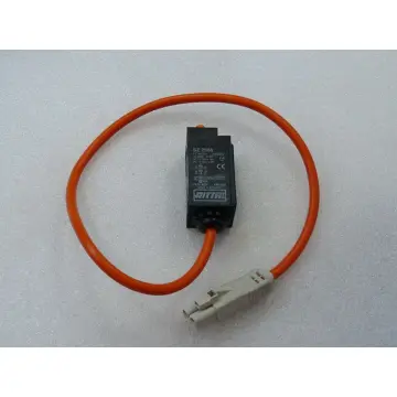 Rittal SZ 2586 Sicherheitsschalter mit Verbindungskabel und Stecker