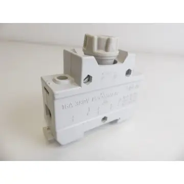 Wöhner Sicherungssockel mit Sicherung und Kappe 16A 380V~ 2-polig