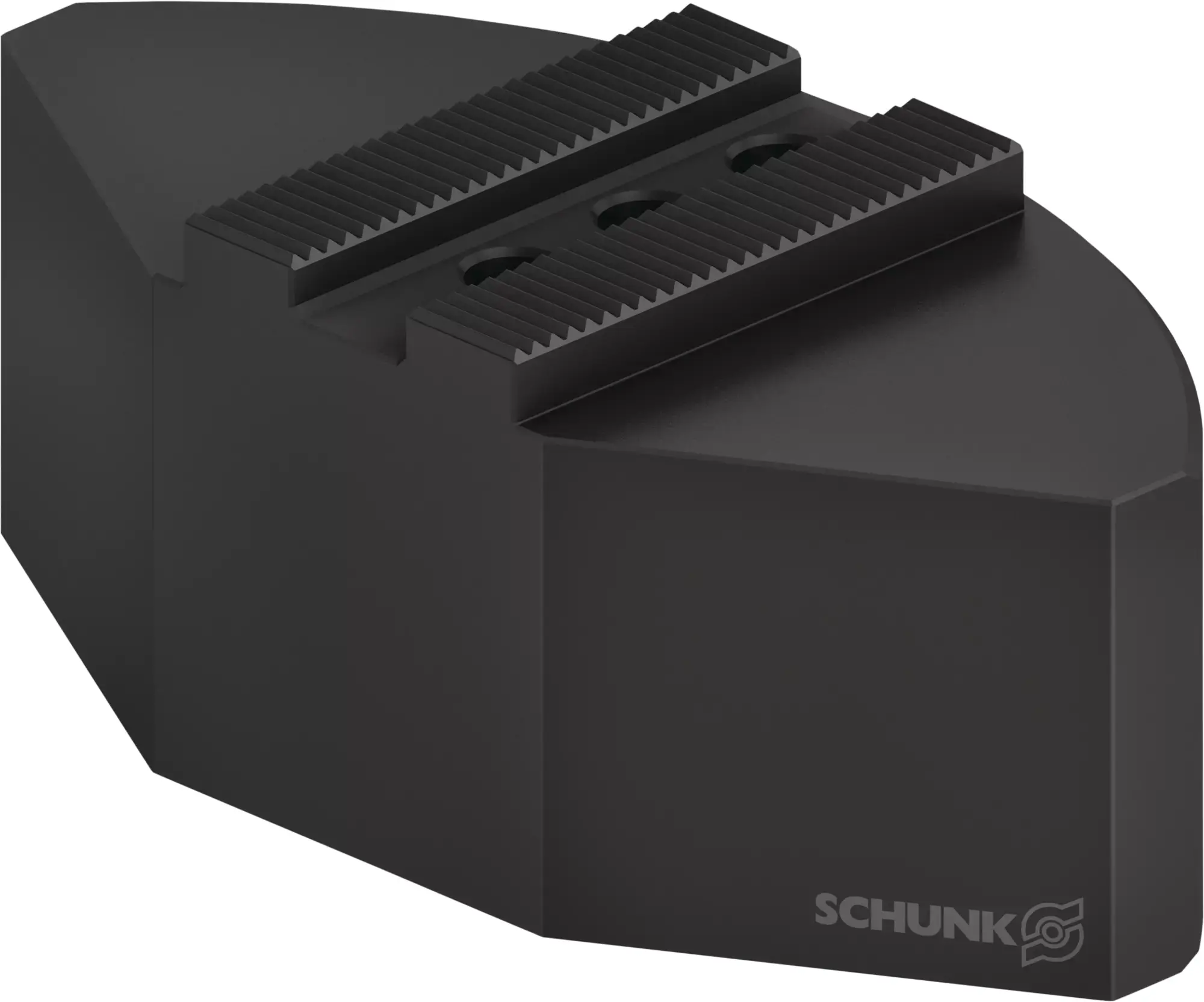 Produktfoto 1 von SCHUNK FR-SM 160, Segmentbacken aus Stahl
