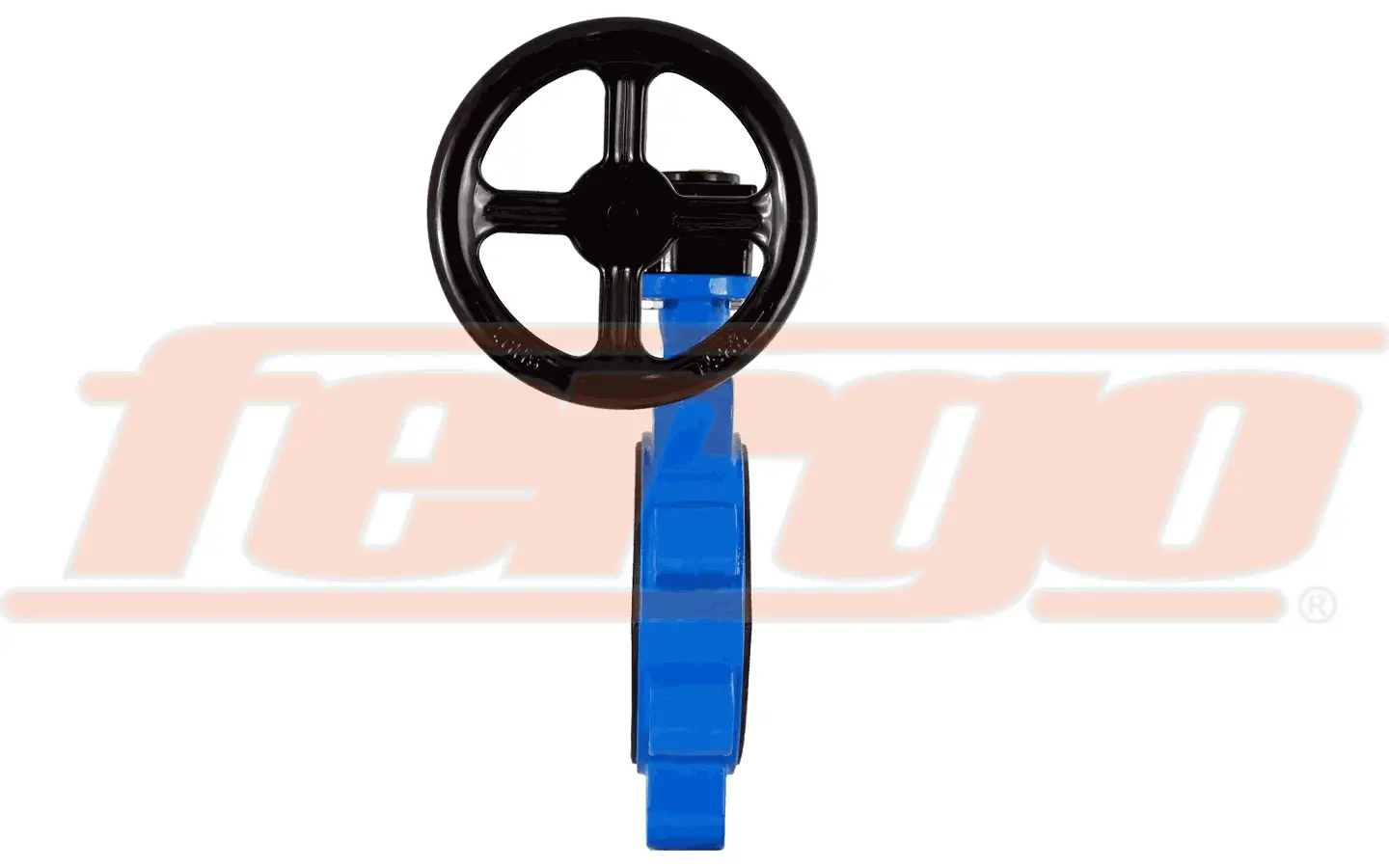 Fergo AK211W Absperrklappe DN 65 PN16 DVGW Trinkwasser EPDM Getriebe
