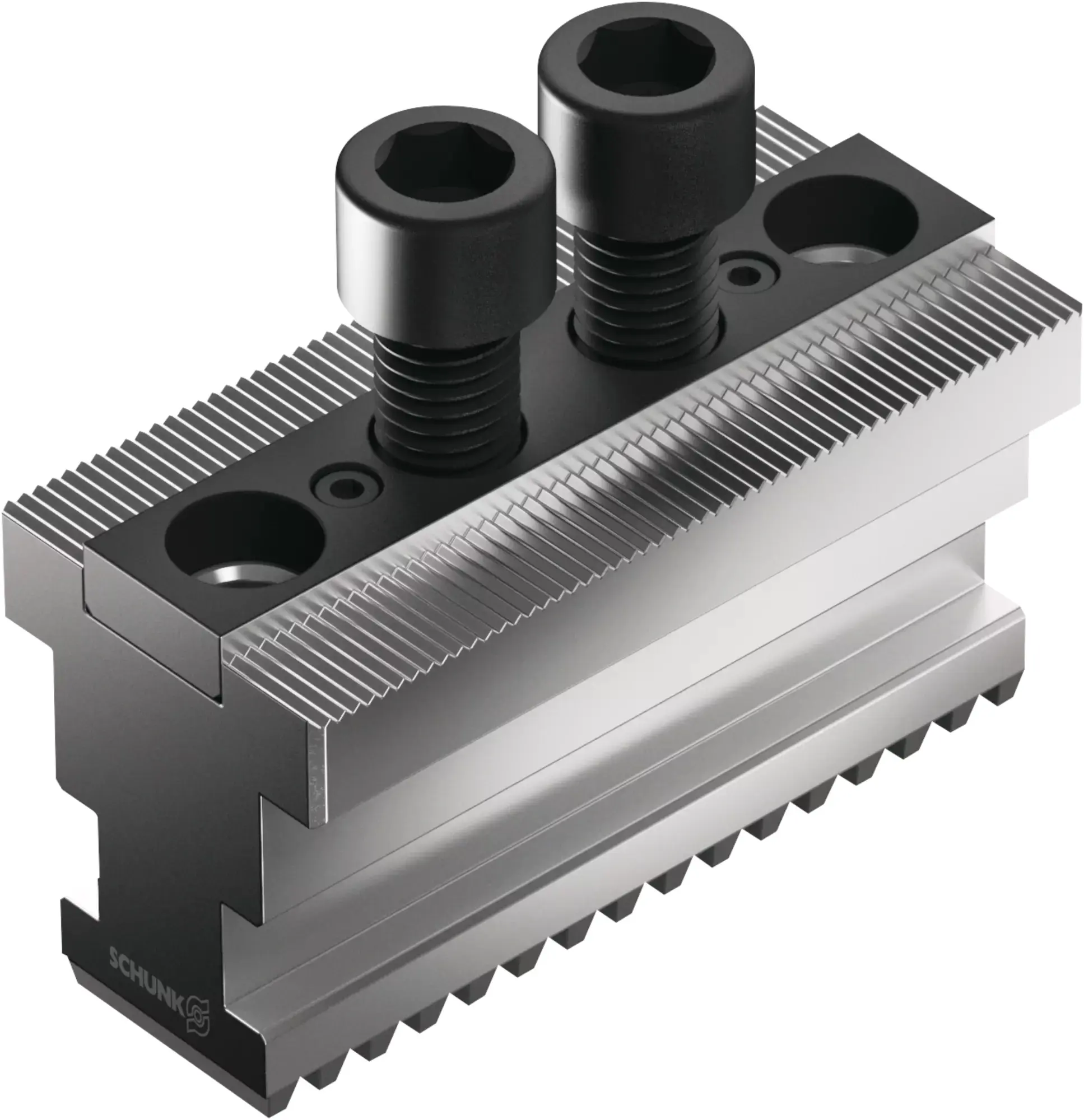Produktfoto 1 von SCHUNK STN 250-5, Grundbacken