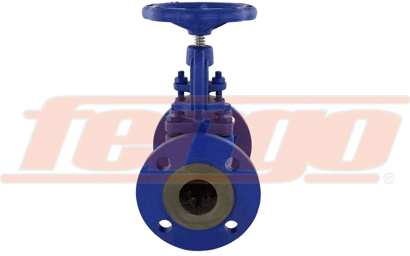 Produktfoto 1 von Fergo UV116 Flansch Absperrventil DN 20 PN16 Grauguss GG25
