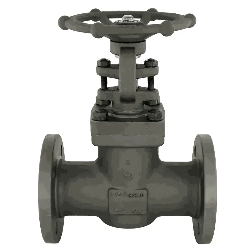 Produktfoto 1 von Fergo 4B Keilschieber DN 50 PN40 Stahl TA-Luft mit Handrad