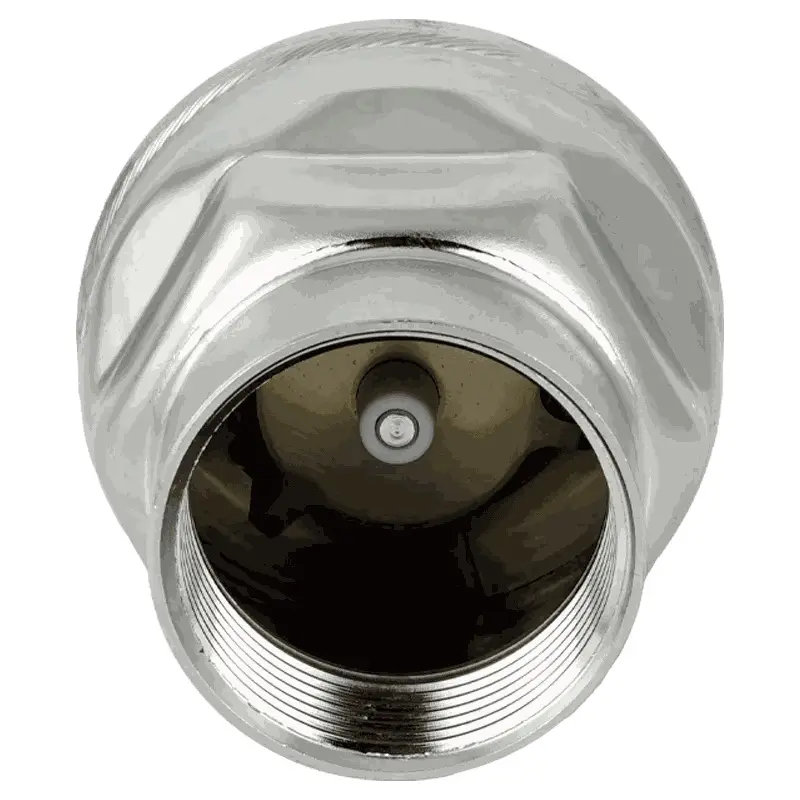 Produktfoto 1 von Fergo RV101 Muffen Rückschlagventil 1 1/2 Zoll Innengewinde Edelstahl Viton