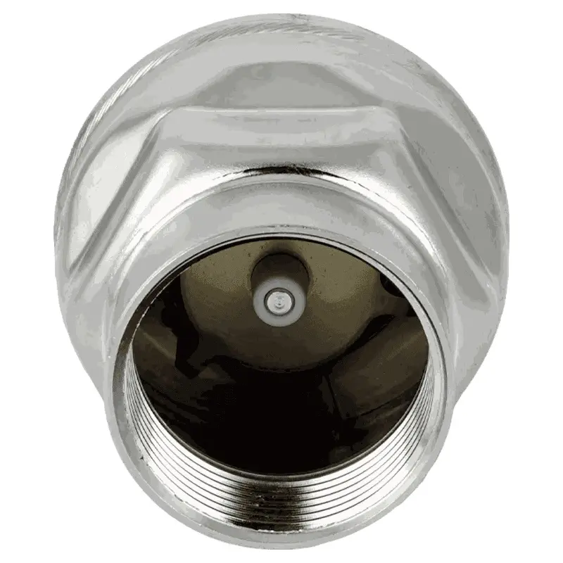 Produktfoto 1 von Fergo RV101 Muffen Rückschlagventil 1/4 Zoll Edelstahl Viton