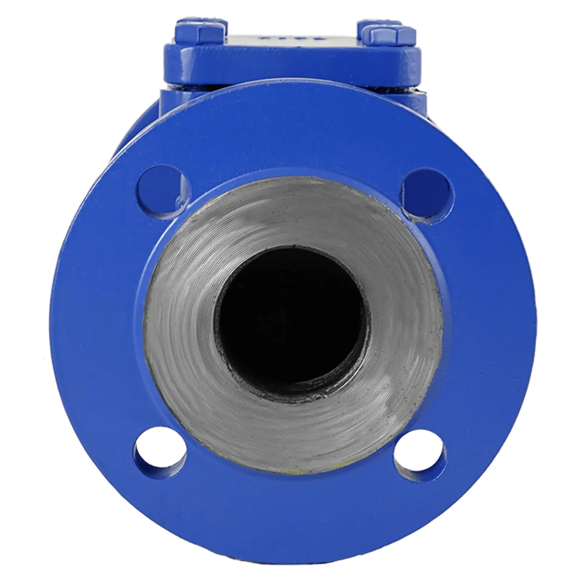 Produktfoto 1 von Fergo RV430 Flansch Rückschlagventil DN 100 PN40 Stahlguss federbelastet