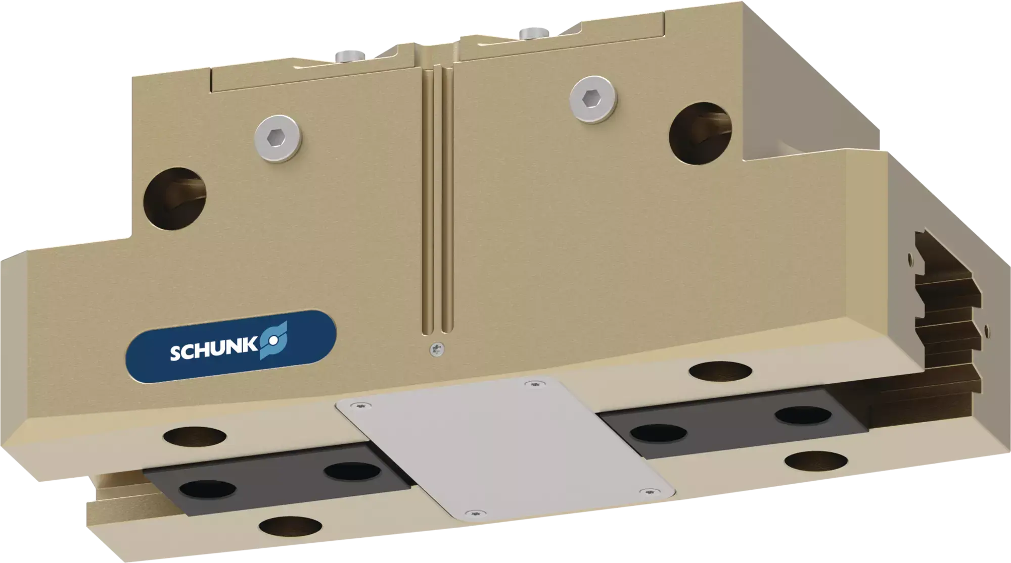 SCHUNK PGN-plus-P 240-1, Universalgreifer