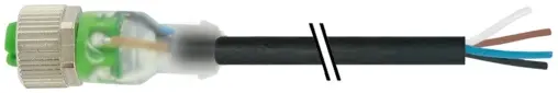 Produktfoto 1 von Murrelektronik 7000-12231-6342500, M12 Bu. 0° A-kod. freies Ltg-ende 3LED