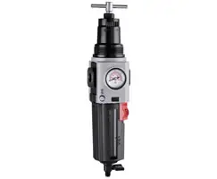 NORGREN B84G-6AT-QP1-RMG, Excelon Plus filter/regulator, 3/4" PTF, 5µm