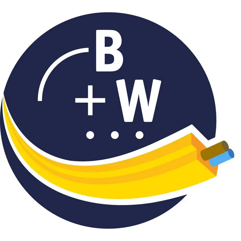 Produktfoto 1 von Bihl Wiedemann BW4723, Bihl+Wiedemann Suite mit 3,5 mm Klinkensteckerkabel