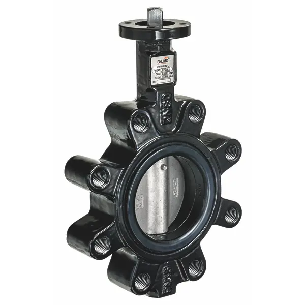Belimo D625NL, Drosselklappe, 2-Weg, DN 25, Gewindeaugen PN 10 / 16