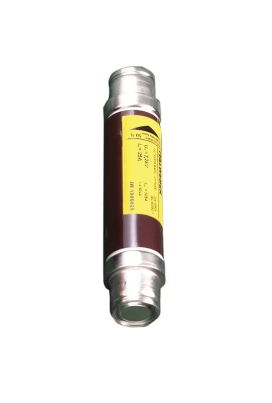 Italweber 1904100, FMT 100A 7,2KV Sicherung