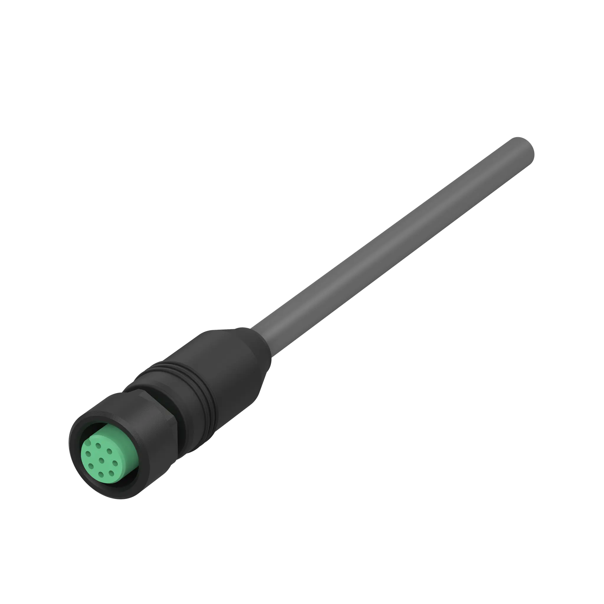 Produktfoto 1 von Elobau K18G000K, Rundstecker, 8x0,25mm², 10m, PVC, grau