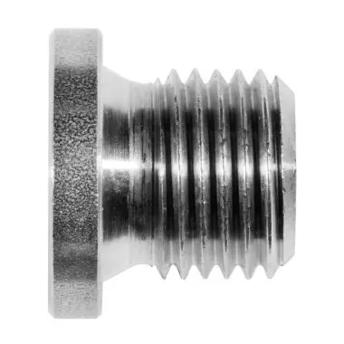 Produktfoto 1 von SERTO AD HSP 50-1, Verschlussschraube G, alt sku: TAD.5070.160