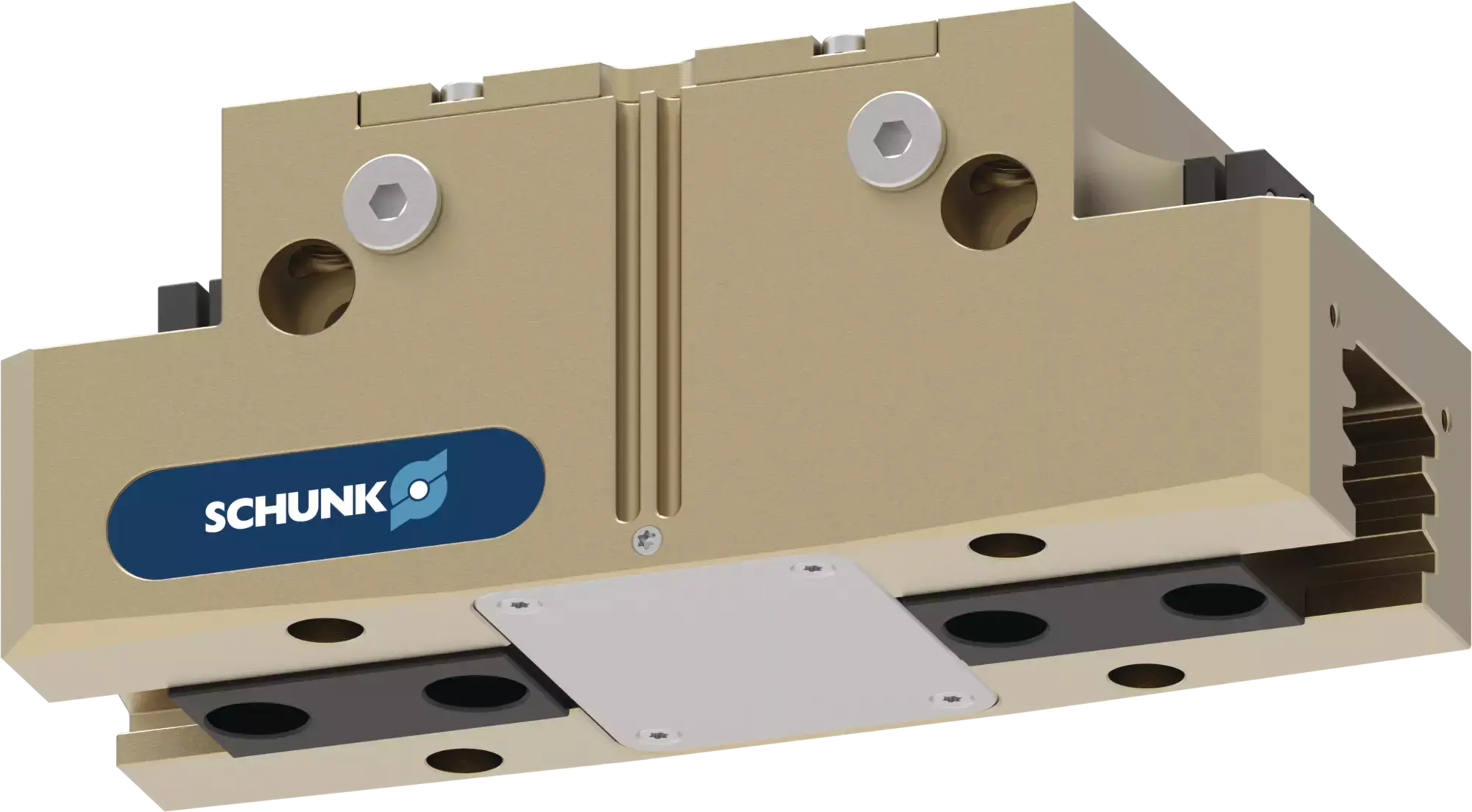 Produktfoto 1 von SCHUNK PGN-plus-P 160-2-SD, Universalgreifer