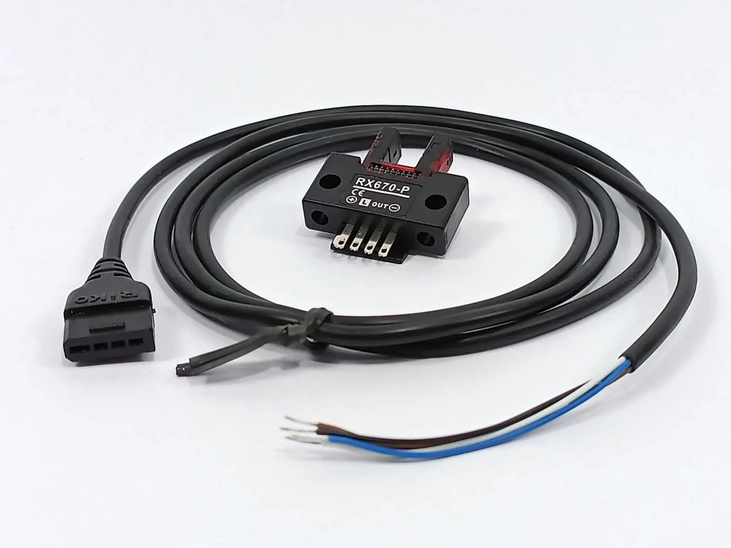 Riko RX670-P