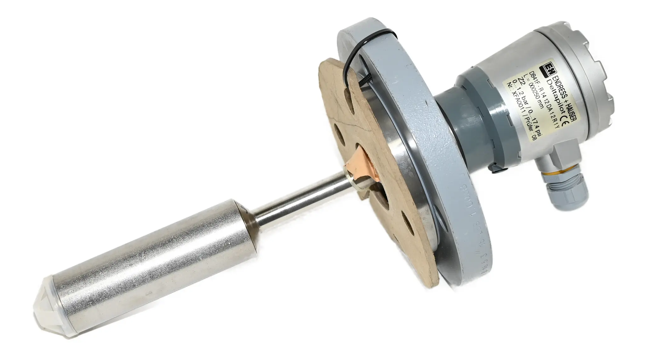 Endress Hauser DB41F-R1412DA12R1Y Deltapilot 0-1.2 Bar 250mm Level Sensor New without box