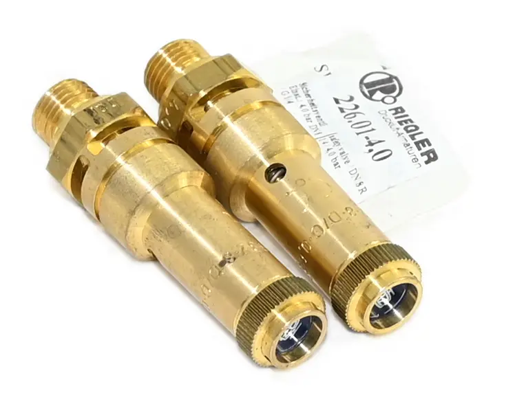 Produktfoto 1 von Riegler 2x 103972 226.01-4,0 Safety Valve DN8 G1/4 4 Bar New without box