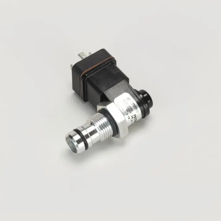 Produktfoto 1 von P572359 maintenance switch (electric)