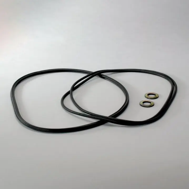 Produktfoto 1 von X003538 gasket kit